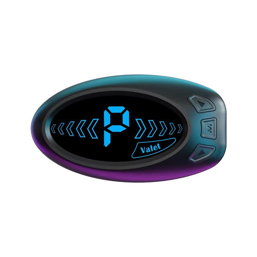 Throttle controller display unit with backlit blue screen showing Valet mode and three control buttons